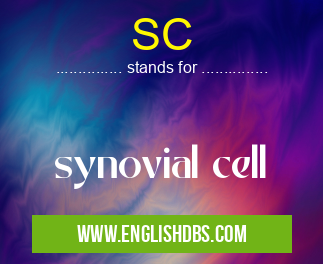 SC means synovial cell SC