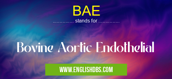 BAE means Bovine Aortic Endothelial BAE