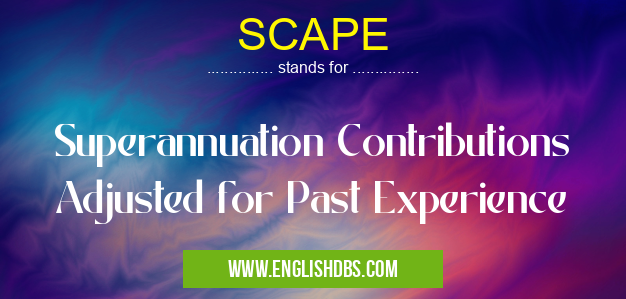 SCAPE means Superannuation Contributions Adjusted for Past Experience SCAPE