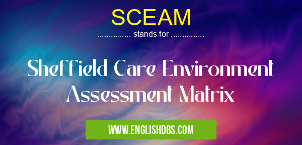 SCEAM means Sheffield Care Environment Assessment Matrix SCEAM