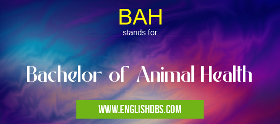 BAH means Bachelor of Animal Health BAH