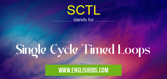 SCTL means Single Cycle Timed Loops SCTL