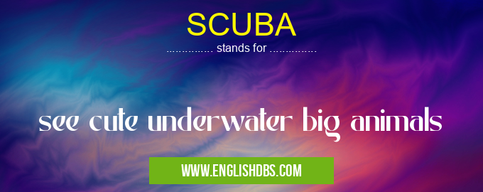 SCUBA