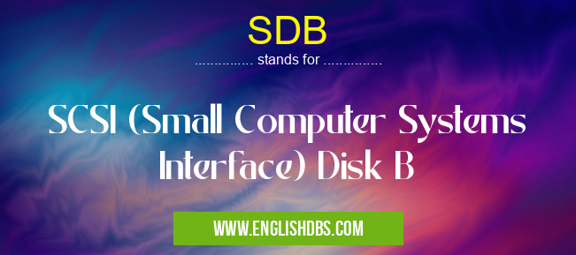 SDB means SCSI (Small Computer Systems Interface) Disk B SDB