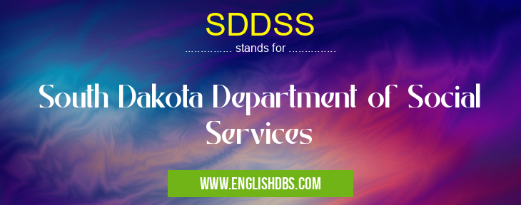 SDDSS means South Dakota Department of Social Services SDDSS