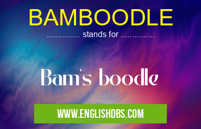 BAMBOODLE means Bam's boodle BAMBOODLE