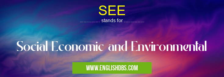 SEE means Social Economic and Environmental SEE