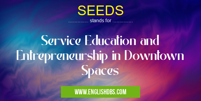 SEEDS means Service Education and Entrepreneurship in Downtown Spaces SEEDS