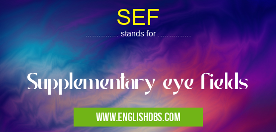 SEF means Supplementary eye fields SEF