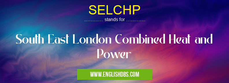 SELCHP means South East London Combined Heat and Power SELCHP