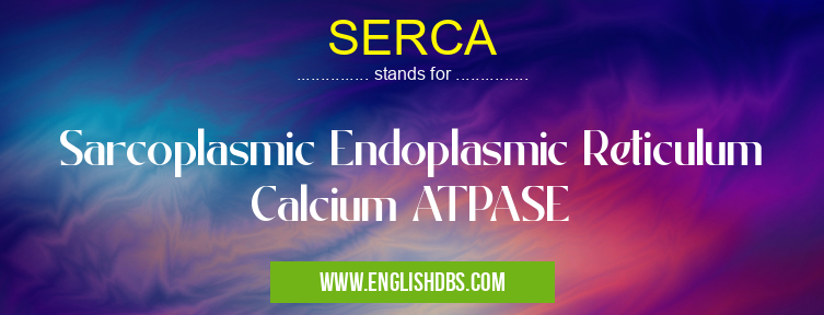 SERCA means Sarcoplasmic Endoplasmic Reticulum Calcium ATPASE SERCA