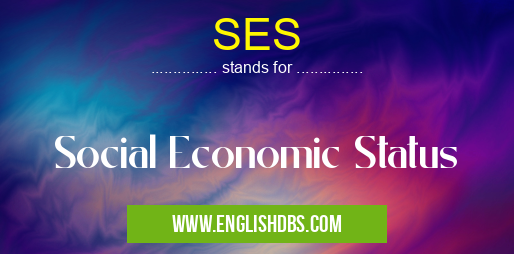 SES means Social Economic Status SES