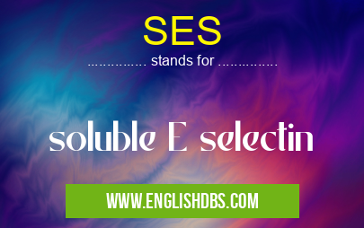 SES means soluble E selectin SES