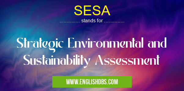 SESA means Strategic Environmental and Sustainability Assessment SESA