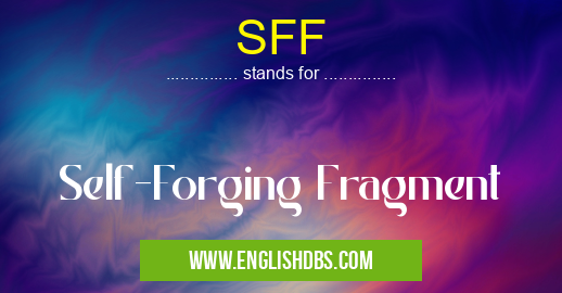 SFF means Self-Forging Fragment SFF