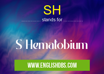SH means S Hematobium SH