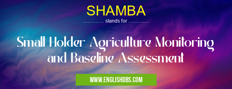 SHAMBA means Small Holder Agriculture Monitoring and Baseline Assessment SHAMBA
