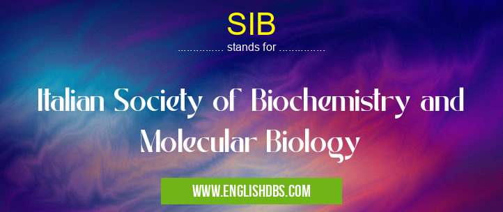SIB means Italian Society of Biochemistry and Molecular Biology SIB
