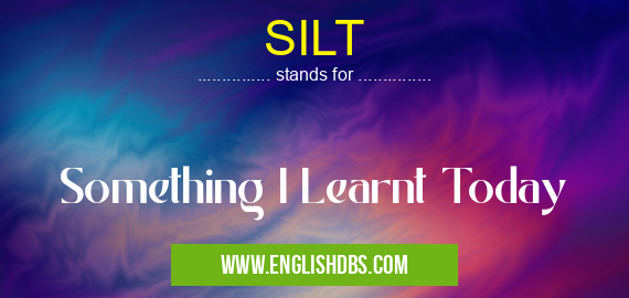 SILT means Something I Learnt Today SILT