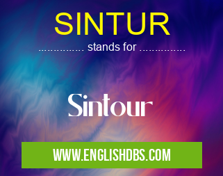 SINTUR means Sintour SINTUR
