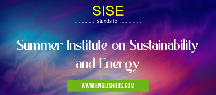 SISE means Summer Institute on Sustainability and Energy SISE