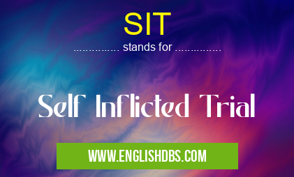 SIT means Self Inflicted Trial SIT