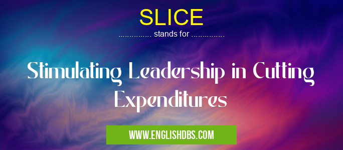 SLICE means Stimulating Leadership in Cutting Expenditures SLICE