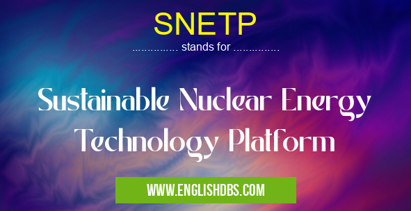 SNETP means Sustainable Nuclear Energy Technology Platform SNETP