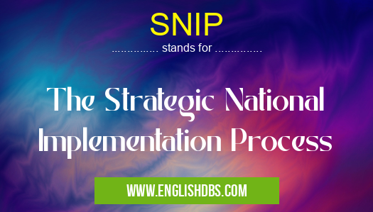 SNIP means The Strategic National Implementation Process SNIP