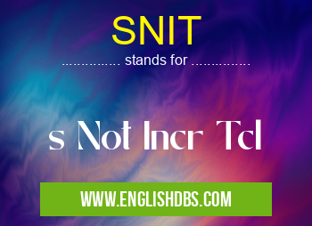 SNIT means s Not Incr Tcl SNIT