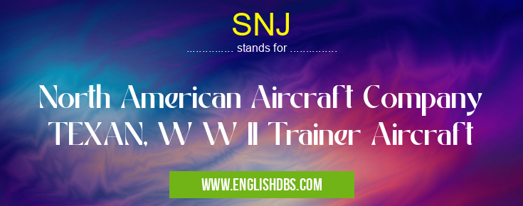 SNJ means North American Aircraft Company TEXAN, W W II Trainer Aircraft SNJ
