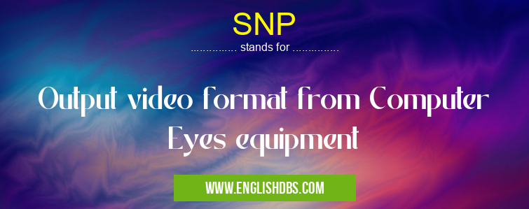 SNP means Output video format from Computer Eyes equipment SNP