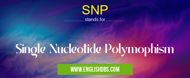 SNP means Single Nucleotide Polymophism SNP