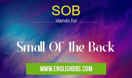 SOB means Small Of the Back SOB