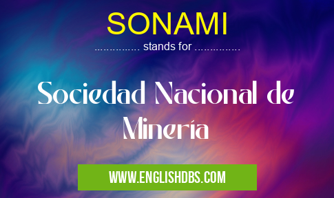SONAMI means Sociedad Nacional de Minería SONAMI