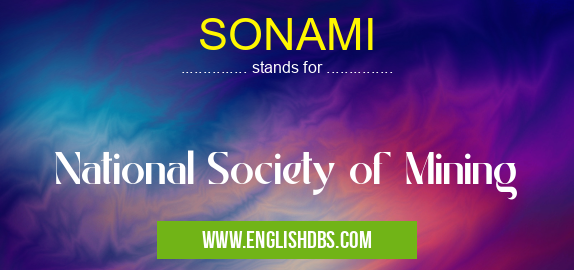SONAMI means National Society of Mining SONAMI