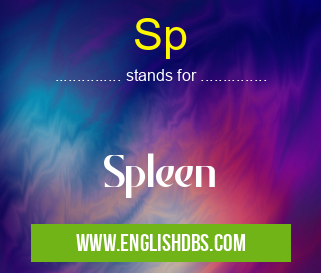 Sp means Spleen Sp