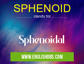 SPHENOID means Sphenoidal SPHENOID