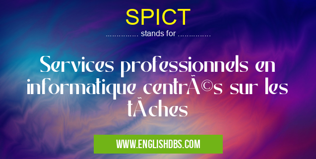 SPICT means Services professionnels en informatique centrés sur les tâches SPICT