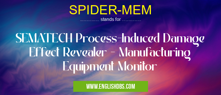 SPIDER-MEM means SEMATECH Process-Induced Damage Effect Revealer - Manufacturing Equipment Monitor SPIDER-MEM