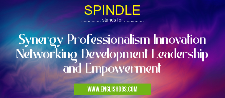 SPINDLE means Synergy Professionalism Innovation Networking Development Leadership and Empowerment SPINDLE