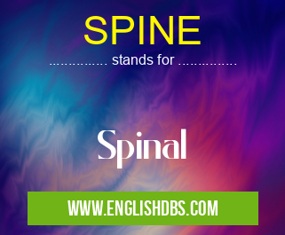 SPINE means Spinal SPINE