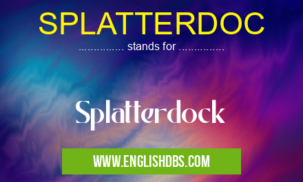 SPLATTERDOC means Splatterdock SPLATTERDOC