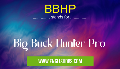 BBHP means Big Buck Hunter Pro BBHP