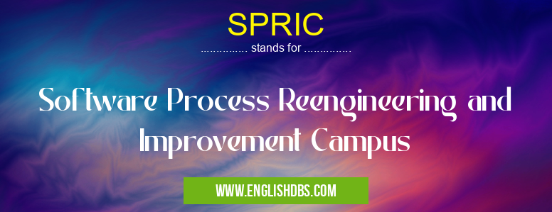 SPRIC means Software Process Reengineering and Improvement Campus SPRIC