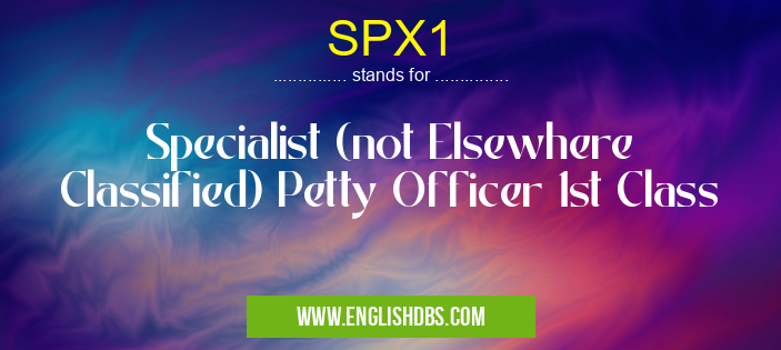 SPX1 means Specialist (not Elsewhere Classified) Petty Officer 1st Class SPX1
