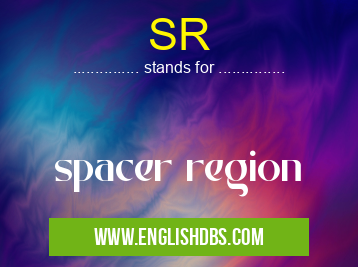 SR means spacer region SR