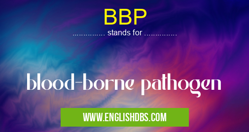 BBP means blood-borne pathogen BBP