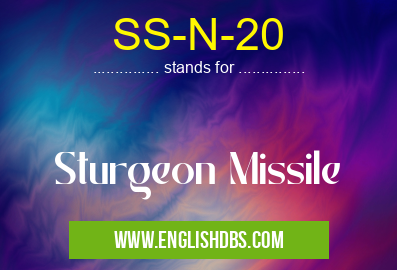 SS-N-20 means Sturgeon Missile SS-N-20