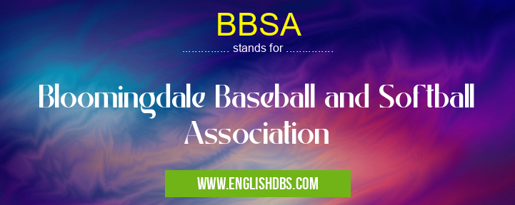 BBSA means Bloomingdale Baseball and Softball Association BBSA